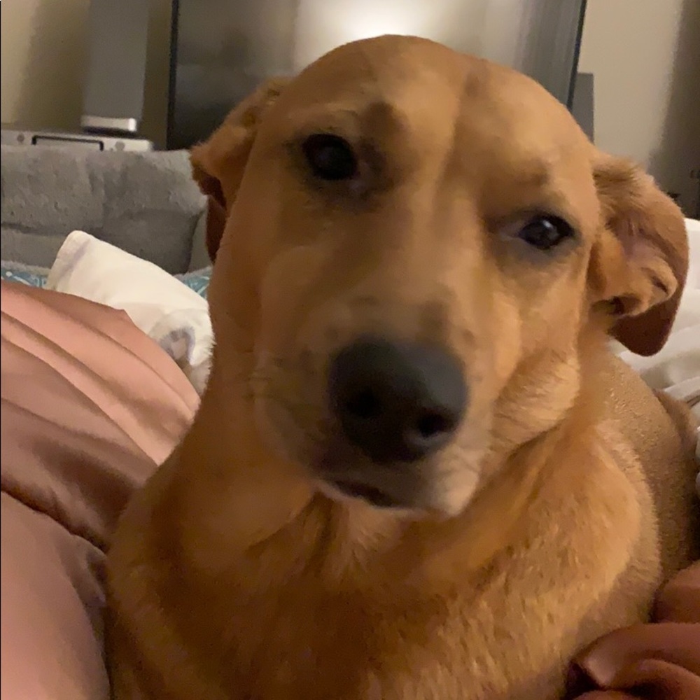 Meet your Posher, Addie